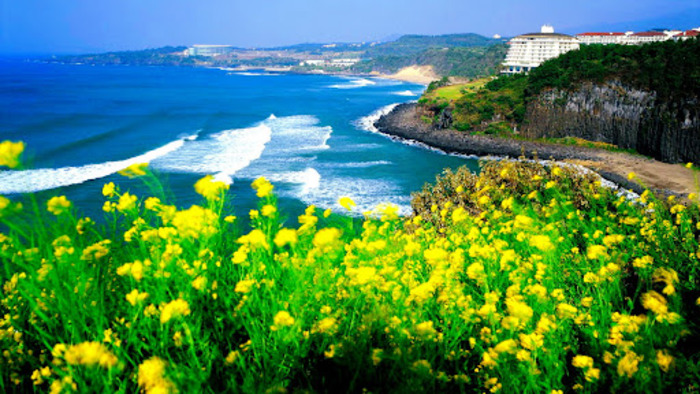 du lịch Jeju