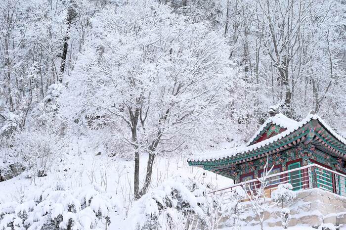 Mùa đông ở Hàn Quốc