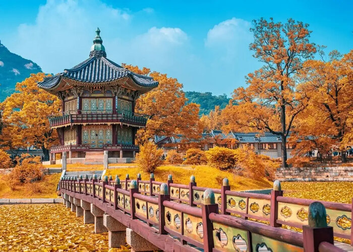 Du lịch Hàn Quốc bao nhiêu tiền? Giải mã chi phí du lịch Hàn