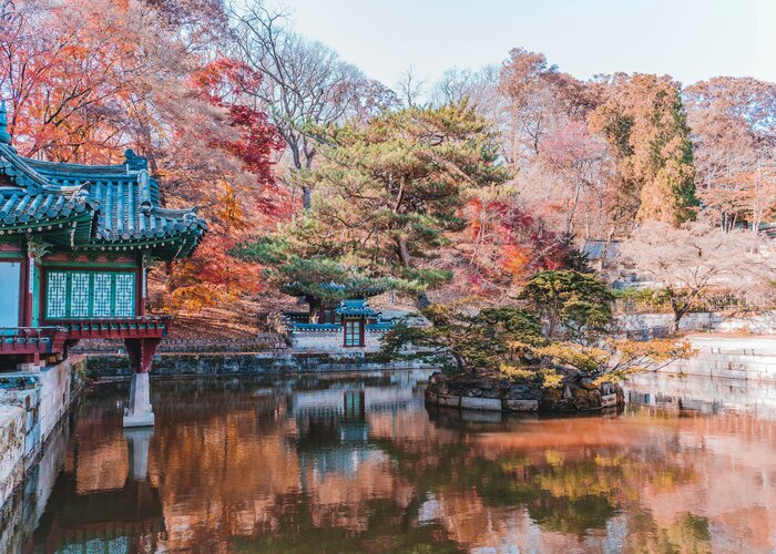 Mùa lá đỏ ở Hàn Quốc là khi nào? 5 điểm ngắm lá đỏ đẹp nhất xứ Hàn