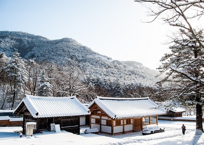 Hàn Quốc mùa tuyết rơi đẹp mê hồn như thế nào?
