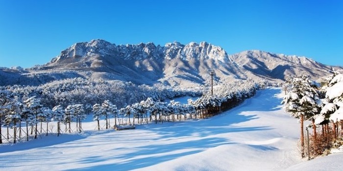 Hàn Quốc mùa tuyết rơi