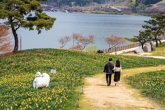 Rừng tre Juknokwon địa điểm không thể bỏ lỡ khi du lịch Hàn Quốc