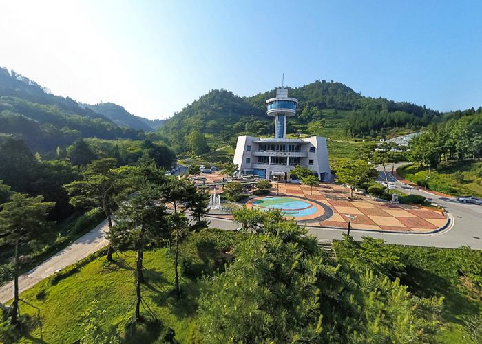 canh-dong-tra-xanh-boseong-