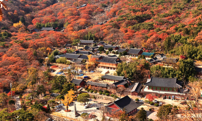 chùa ở Busan