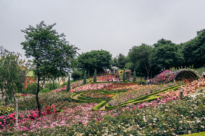 Đến Vườn Bách thảo Bucheon để thư giãn tinh thần