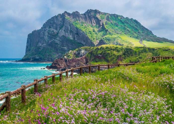 Jeju mùa nào đẹp? Khám phá hoàn đảo xinh đẹp của Hàn Quốc