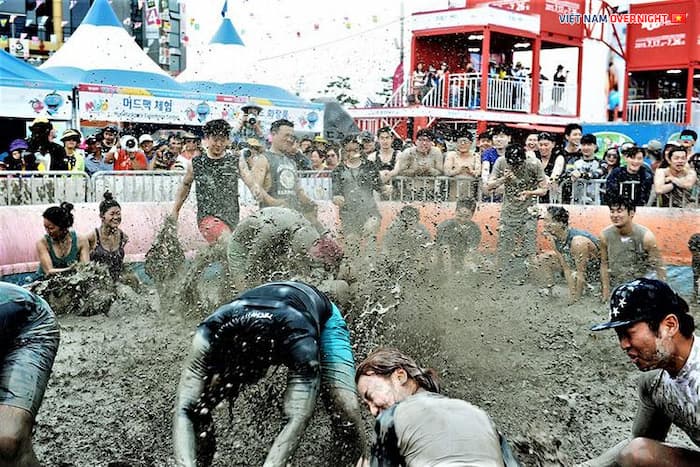 lễ hội bùn boryeong