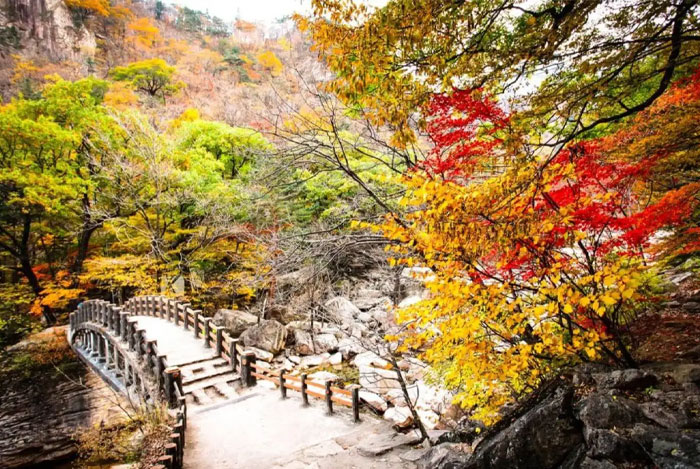 Mùa thu là mùa đẹp nhất để du lịch Seoraksan National Park