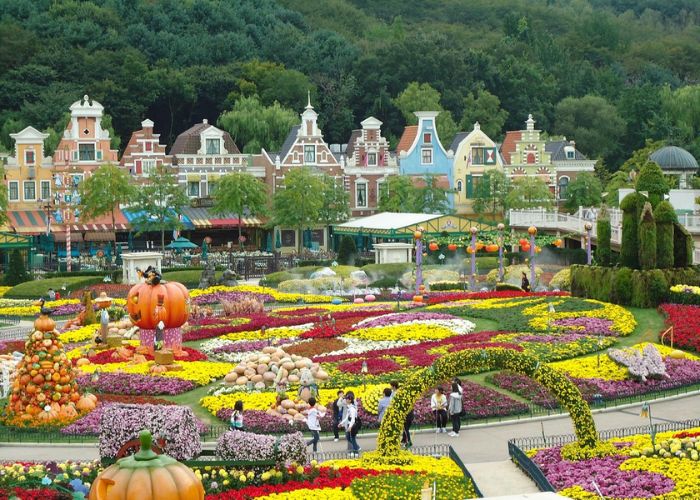 Everland Hàn Quốc – Công viên giải trí thú vị đây hấp dẫn