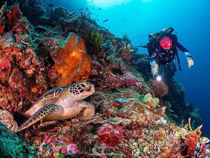 Đảo Bunaken Indonesia là tọa độ lặn biển lý tưởng 