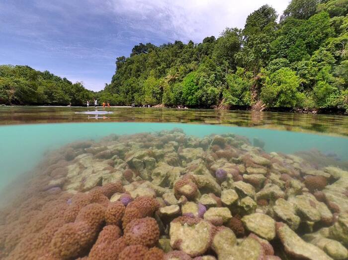 Giới thiệu về Đảo Kakaban Indonesia