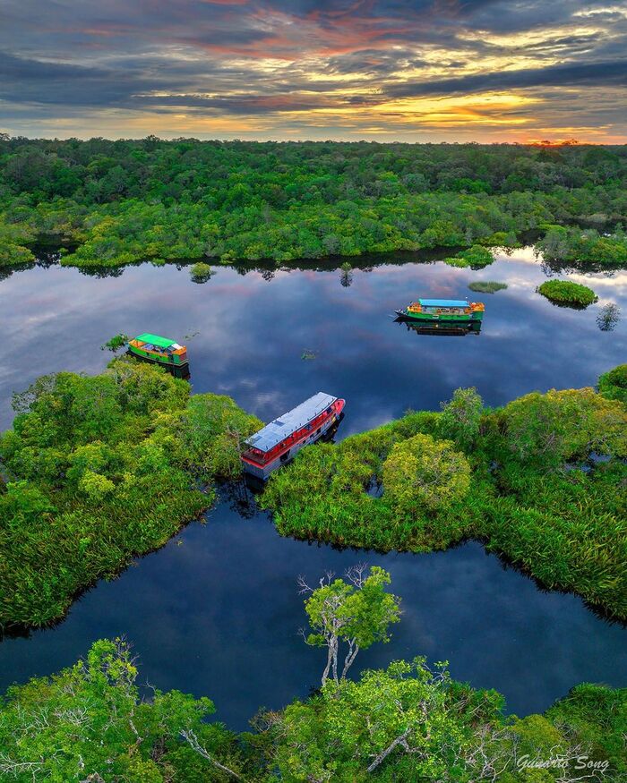  vườn quốc gia Tanjung Puting Indonesia hấp dẫn