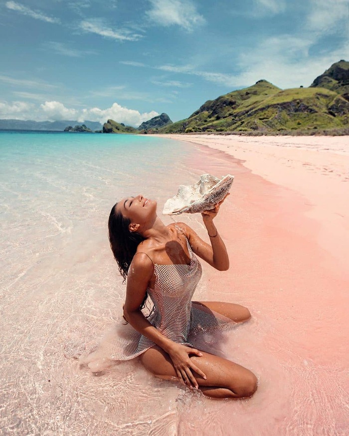 bãi biển màu hồng độc đáo hiếm nơi có