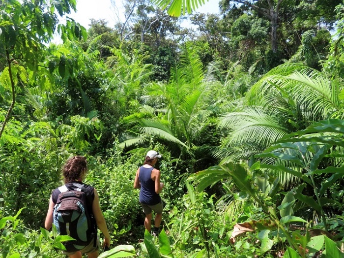 Công viên quốc gia Ujung Kulon thu hút du khách khám phá thiên nhiên đảo Java Indonesia 