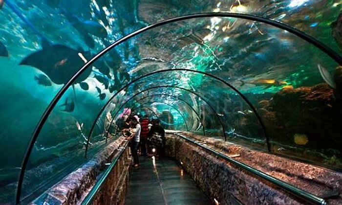 Khám phá công viên Sea World Ancol khi du lịch Jakarta tự túc 