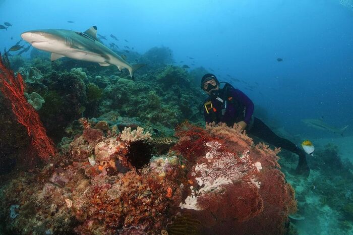 Trải nghiệm khám phá đảo Morotai Indonesia.