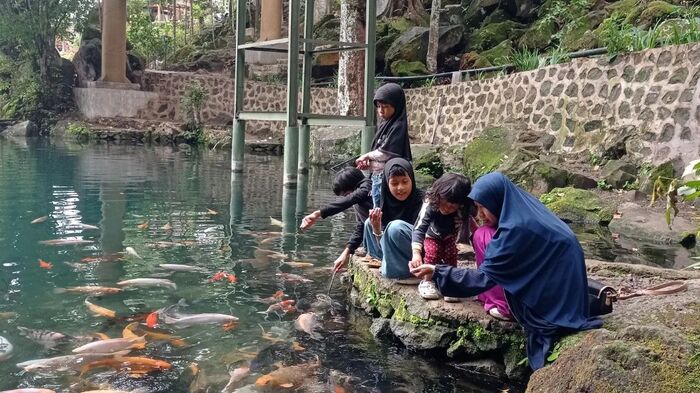 Đến Telaga Biru Cicerem Indonesia trải nghiệm cho cá chép ăn