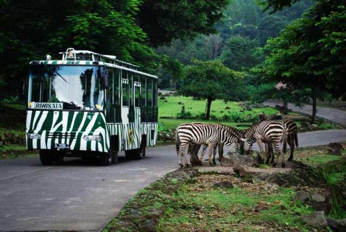 Công viên ở Jakart Taman Safari