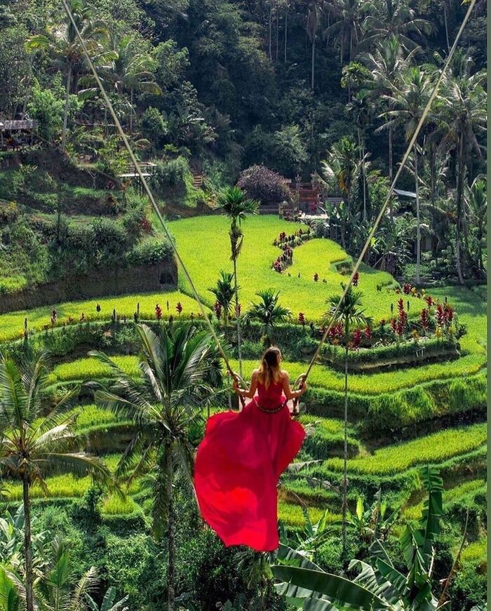  điểm đến lãng mạn tại Bali Indonesia Ubud