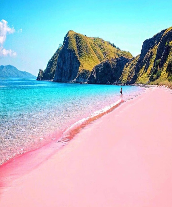 Bãi biển hồng Indonesia ở đâu