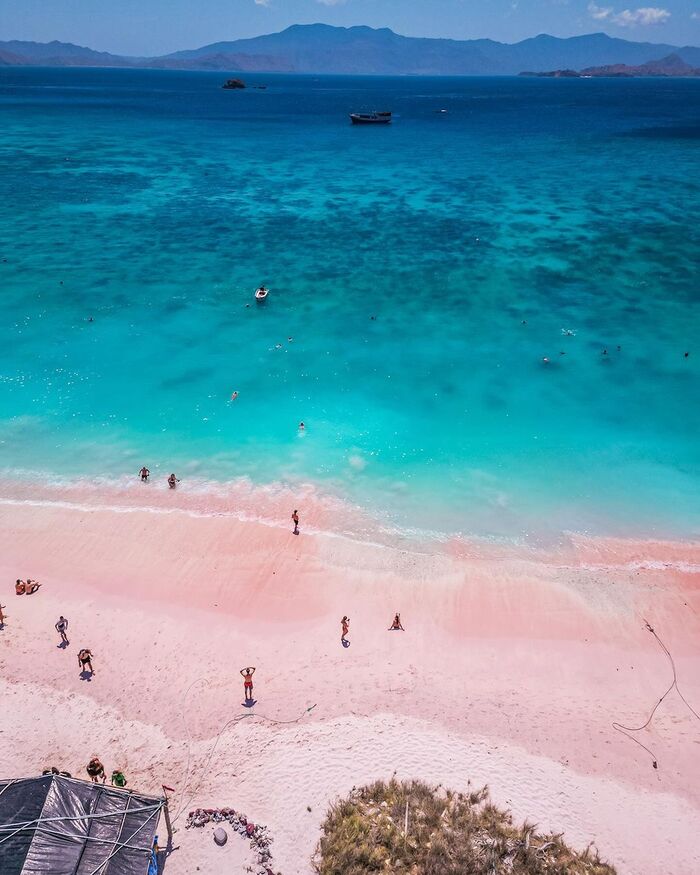 Kinh nghiệm du lịch Bãi biển hồng Indonesia
