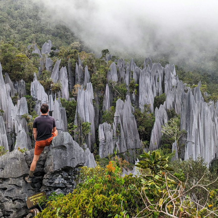 làm gì ở vườn quốc gia gunung mulu malaysia