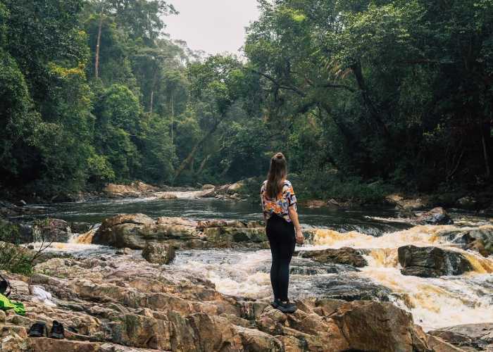 Lên đường khám phá vườn Quốc gia Taman Negara Malaysia hùng vĩ