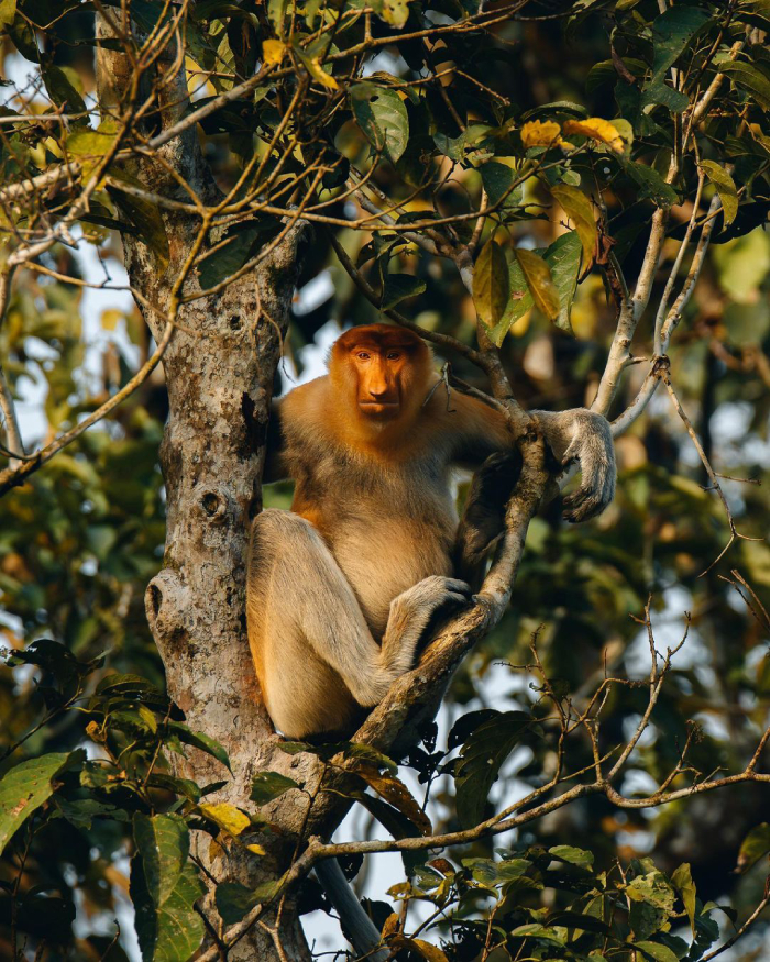 Sabah Malaysia