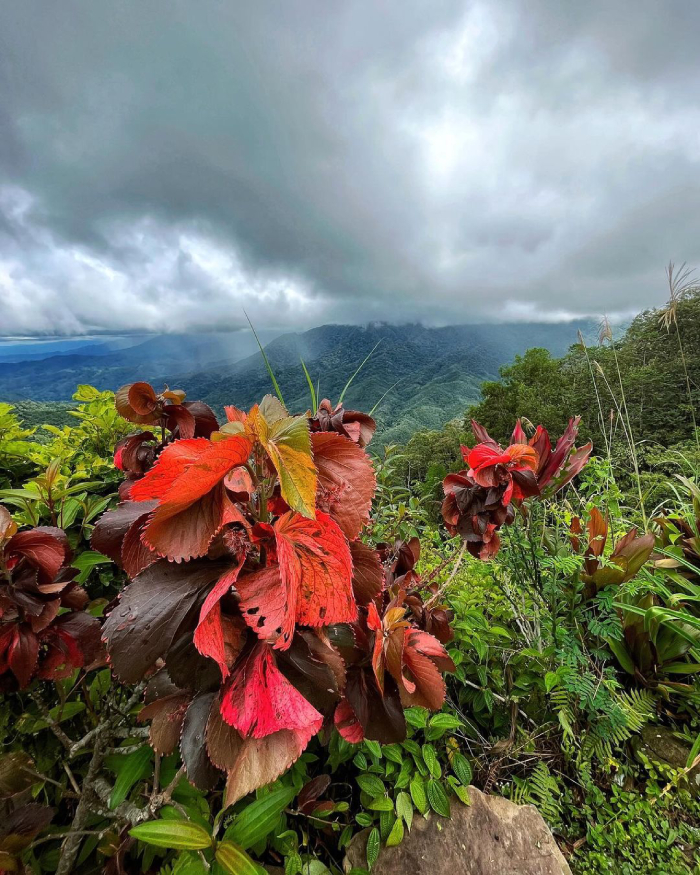 Sabah Malaysia