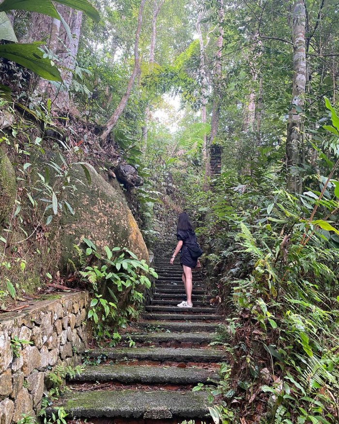 The Habitat Penang Hill Malaysia