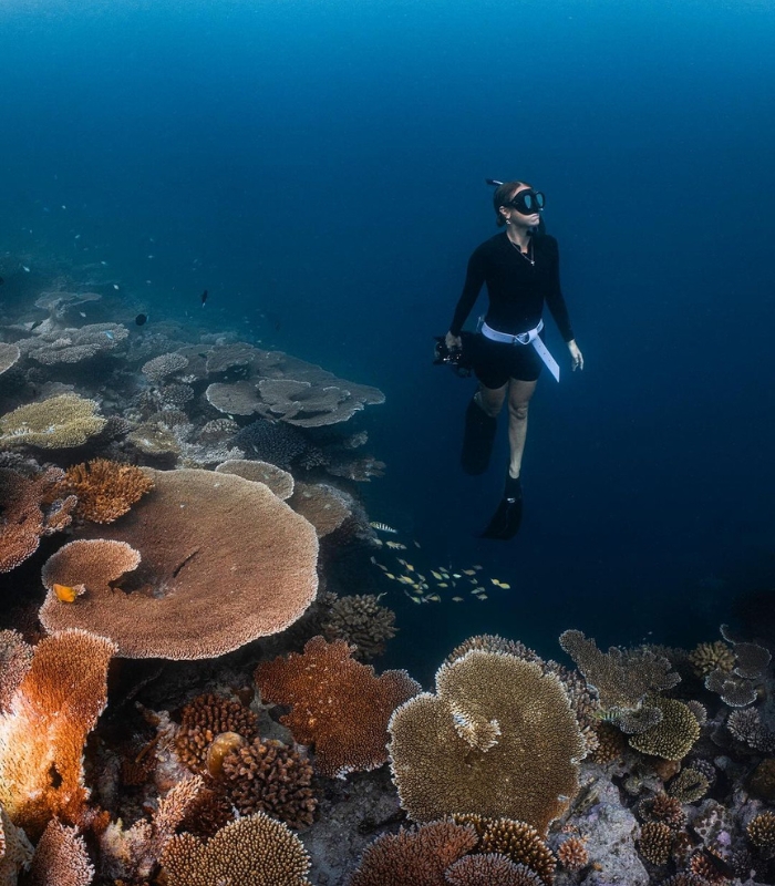 Trải nghiệm lặn biển tại Maldives