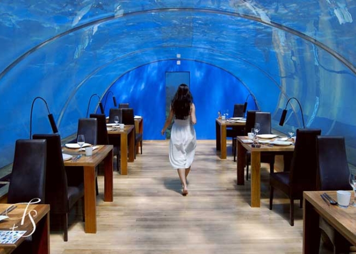 Myriad Underwater Restaurant là một nhà hàng dưới nước sang trọng