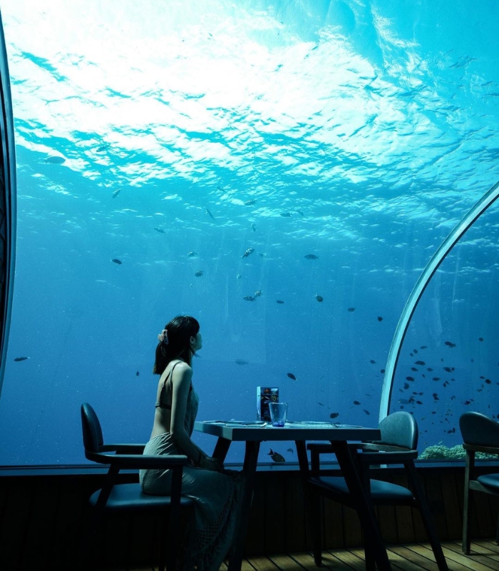 Điểm nhấn của 5.8 Undersea Restaurant chính là thiết kế độc đáo với phần mái vòm