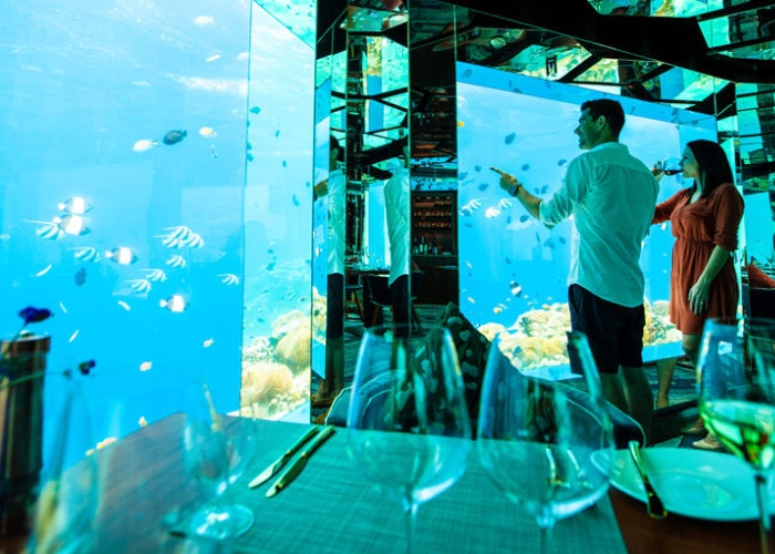 SEA Underwater Restaurant còn nổi tiếng với hầm trữ rượu lớn