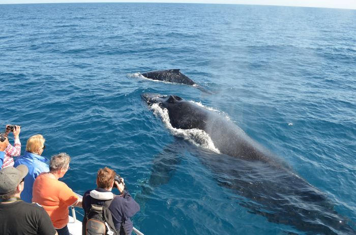 Đến Hawaii du lịch vào mùa đông là lựa chọn rất thú vị 