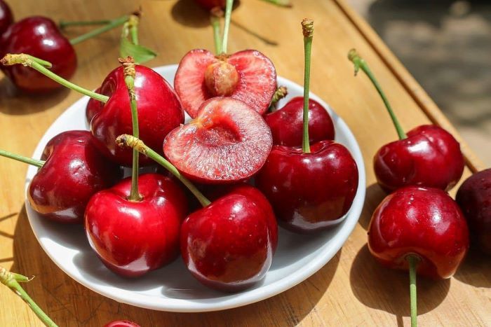 Cherry là trái cây nổi tiếng ở đất nước Hoa Kỳ