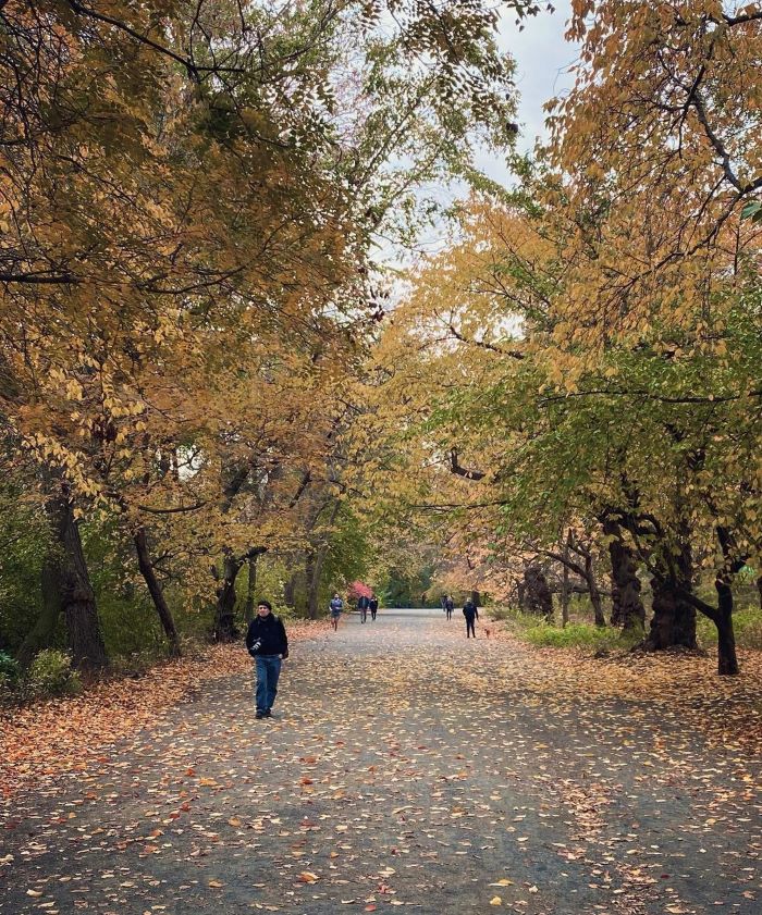 Con đường đi bộ dễ dàng trong công viên Central Park ở New York Mỹ