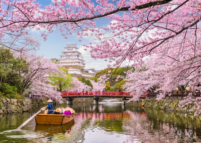 Du lịch Nhật Bản - Mù xuân Nhật Bản là mùa hoa anh đào nở rộ