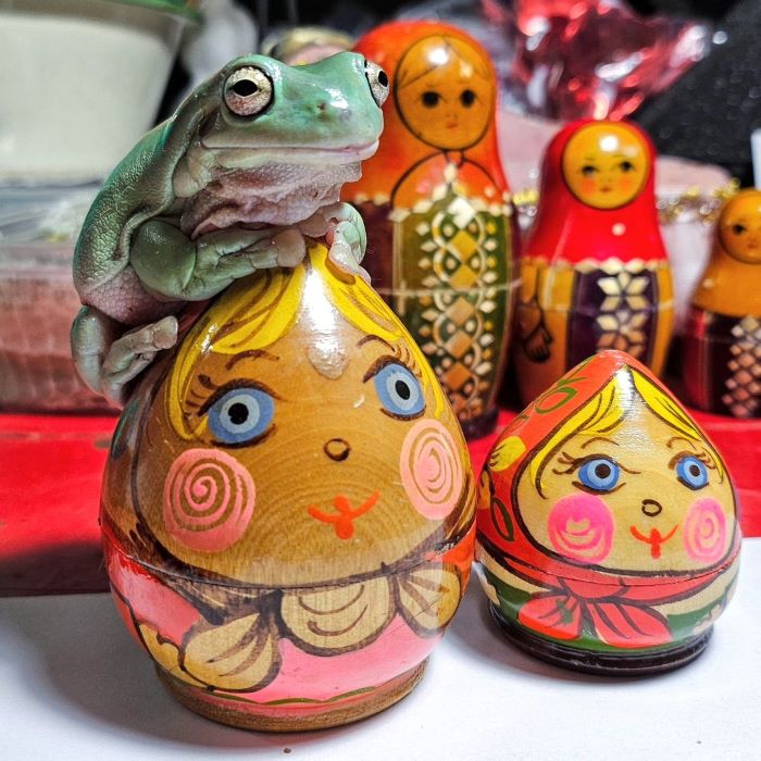 Matryoshka với nhiều hình dáng khác nhau