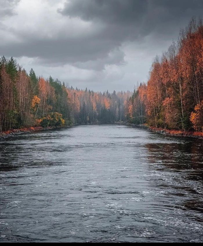 Mùa thu khi du lịch Karelia cực đẹp