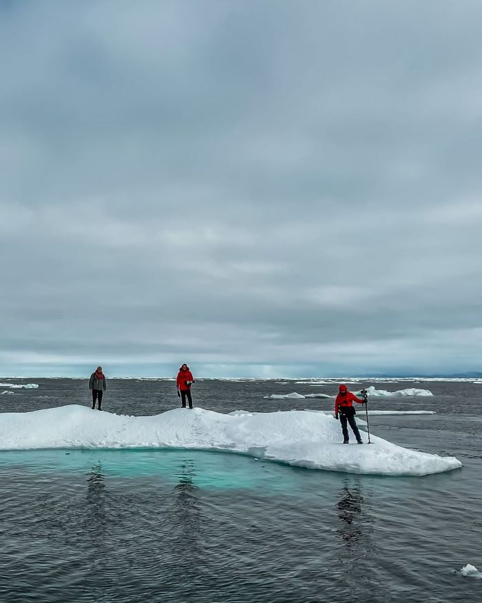 Đảo Wrangel ở nước Nga
