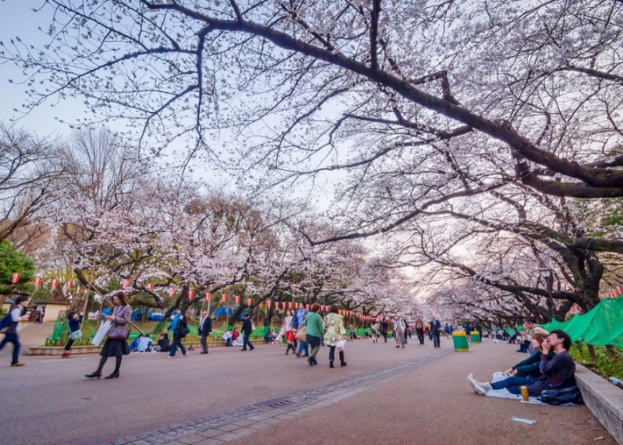 Công viên Ueno là một trong những công viên lớn nhất và lâu đời nhất ở Tokyo