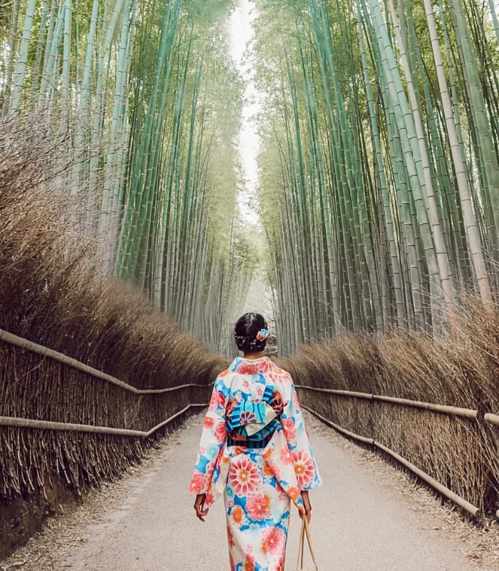 RRừng tre Arashiyama là một trong những địa điểm thu hút du khách nhất ở Kyoto