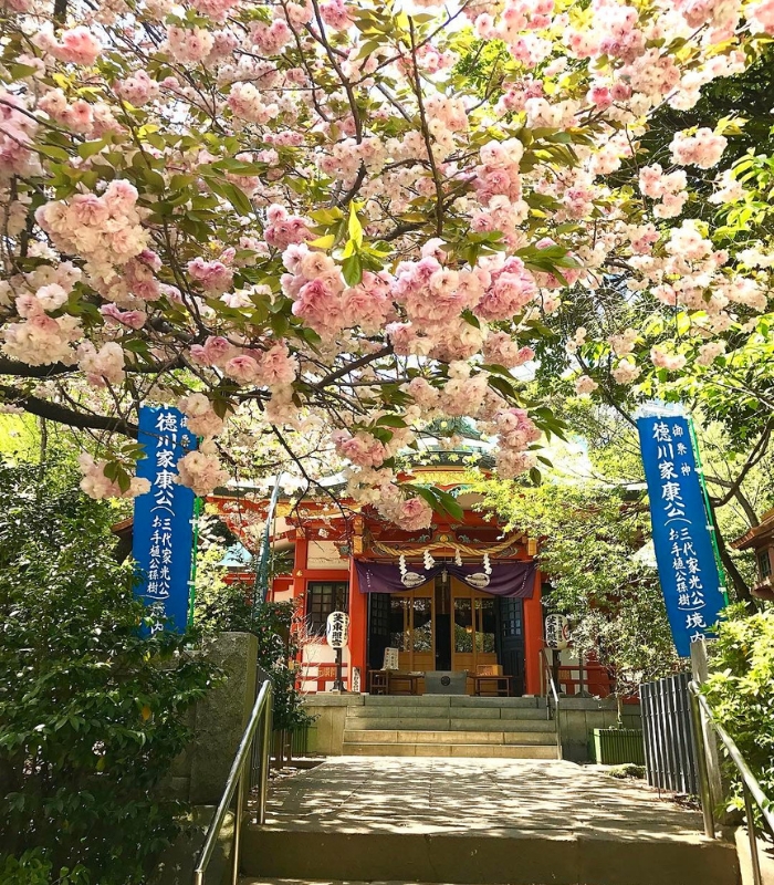 Đền Shiba Toshogu nổi tiếng với kiến trúc độc đáo và trang trí lộng lẫy
