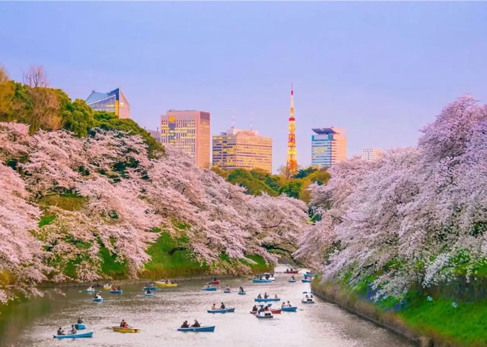 Khám phá Công viên Ueno Nhật Bản – Viên ngọc xanh giữa lòng Tokyo