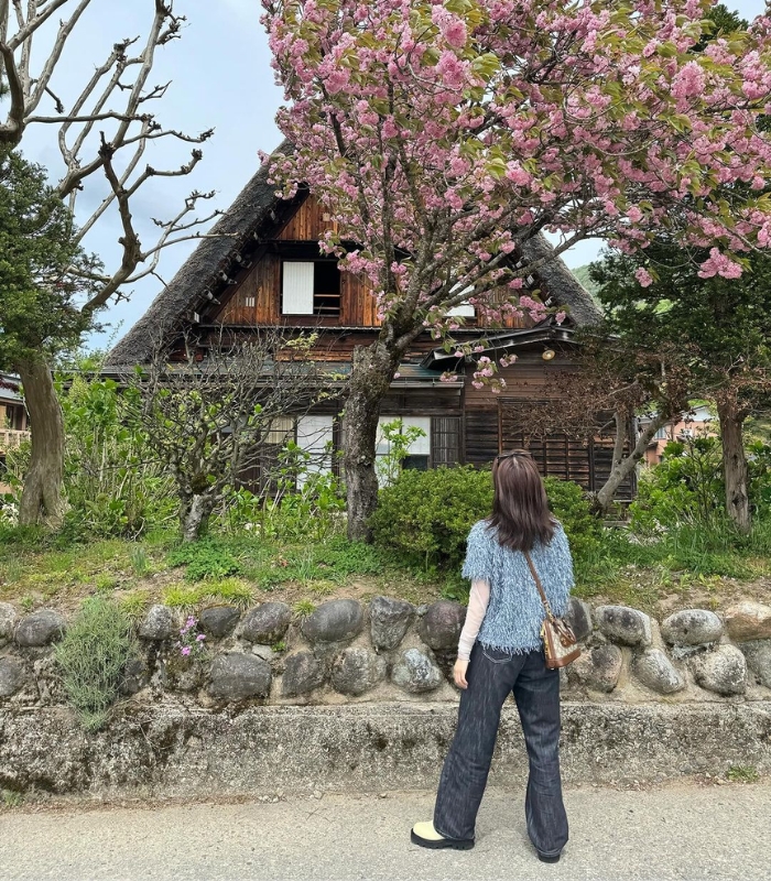 Du khách cũng có thể đặt các tour du lịch để đi tham quan làng cổ Shirakawa-go Nhật Bản