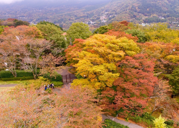 Vườn quốc gia Fuji-Hakone-Izu là một điểm đến phổ biến cho du khách Nhật Bản