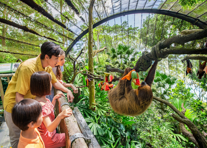 Khám phá thế giới động vật tại Sở Thú Singapore Zoo