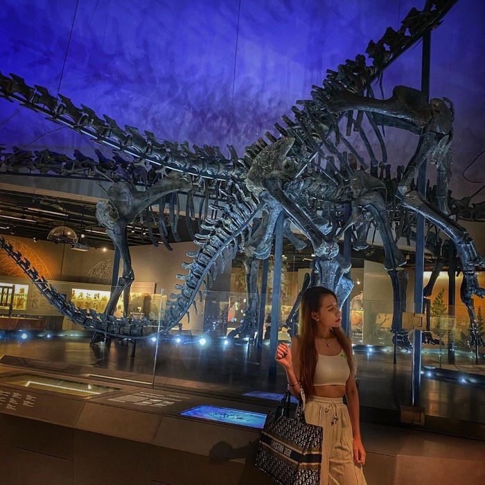 Lee-Kong-Chian-Natural-History-Museum-Singapore